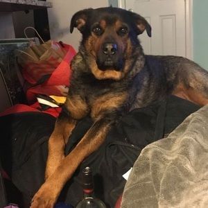 Meet your Posher, Ray